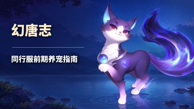 幻唐志同行服1～69级宠物养成推荐：紫灵猫、瑶光与火猪骑士怎么选