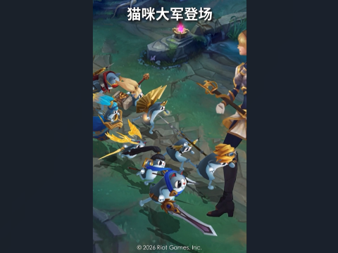 英雄联盟手游：猫咪们，请求支援，护盾冷却中！